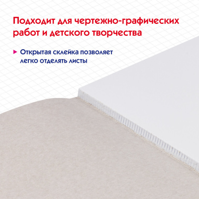 Альбом для черчения А4 40 л., склейка, 160 г/м2, ПИФАГОР, 104808 Альбом для черчения А4 40 л., склейка, 160 г/м2, ПИФАГОР, 104808