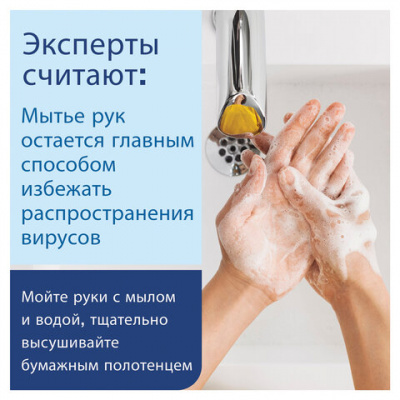 Полотенца бумажные 200 шт., LAIMA (H2) PREMIUM, 2-слойные, белые, КОМПЛЕКТ 21 пачка, 22,5х21,3 см, Z-сложение, 111339 Полотенца бумажные 200 шт., LAIMA (H2) PREMIUM, 2-слойные, белые, КОМПЛЕКТ 21 пачка, 22,5х21,3 см, Z-сложение, 111339