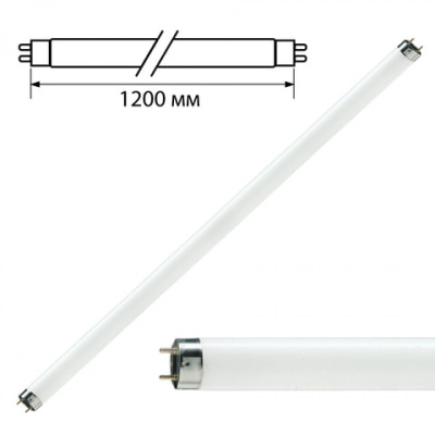 Лампа люминесцентная PHILIPS TL-D 36W/33-640, 36 Вт, цоколь G13, в виде трубки 120 см Лампа люминесцентная PHILIPS TL-D 36W/33-640, 36 Вт, цоколь G13, в виде трубки 120 см